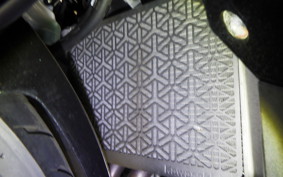 KAWASAKI ZX-25R 2024 ZX250E