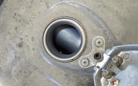 KAWASAKI ESTRELLA RS BJ250A