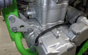 KAWASAKI KLX250 Gen.2 2023 LX250S