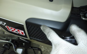 HONDA CT125 HUNTER CUB JA55