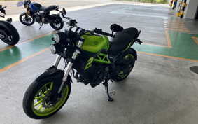 BENELLI TNT249S