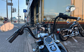 HARLEY FLD 2011 GZ4