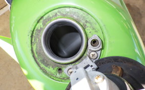 KAWASAKI KLX250 LX250E