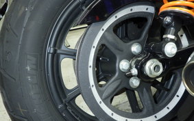 HARLEY XL1200NS 2019