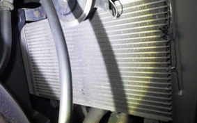 KAWASAKI NINJA 250R 2009 EX250K