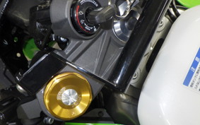 KAWASAKI NINJA ZX-6R A 2024 ZX636J