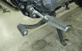 YAMAHA VIRAGO 250 2024 3DM