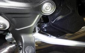 KAWASAKI Z900RS 2025 ZR900K