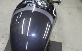 TRIUMPH SPEED 400 2024