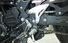 KAWASAKI NINJA 250 2022 EX250Y