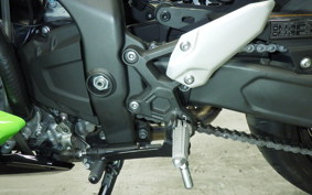 KAWASAKI ZX-4RR 2024 ZX400P