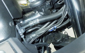 SUZUKI ｼﾞｸｻｰ250 2012 ED22Y