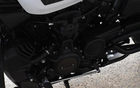 HARLEY Sprotster S ZC4
