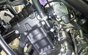 HONDA REBEL 250 A 2020 MC49