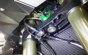 KAWASAKI ZH2 SE 2025