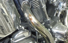 HARLEY FLSTC 1340 2021