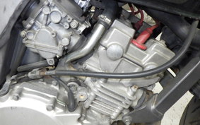 HONDA HORNET 250 MC31