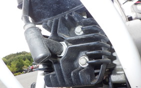 HONDA QR50 2021 AE01