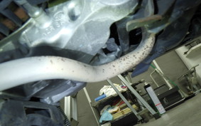 HONDA PCX125 2023 JF56