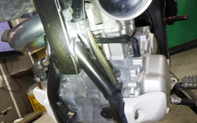 YAMAHA WR250X DG15J