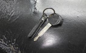 HONDA TODAY 2017 AF61