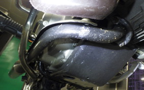 HONDA LITTLE CUB 2020 C50