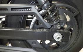 HARLEY RH975 2024