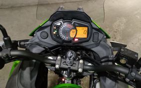 KAWASAKI VERSYS-X 250 LE250D