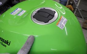 KAWASAKI NINJA ZX-6R A 2022 ZX636G