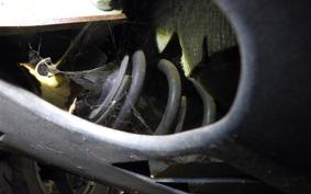 SUZUKI SKYWAVE 250 (Burgman 250) S Gen.3 2010 CJ44A