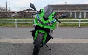 KAWASAKI NINJA ZX-4RR 2024 ZX400P