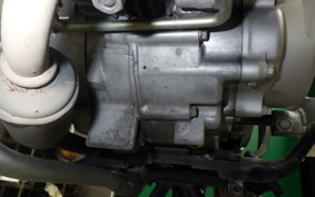 HONDA C50 SUPER CUB 2024 AA09