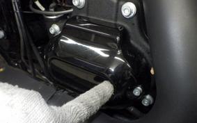 HARLEY FLTRXS1870 2019