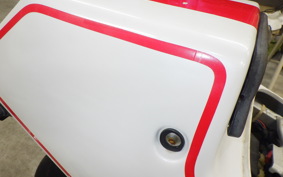 YAMAHA FZR400 R 1988 1WG