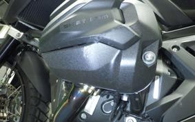 BMW R1300GS 2024