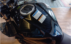 KAWASAKI Z250 EX250P