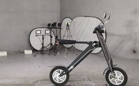 OTHER  BLAZE  SMART EV BLAZE