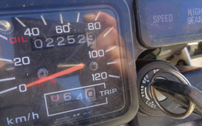 HONDA TLR200 MD09