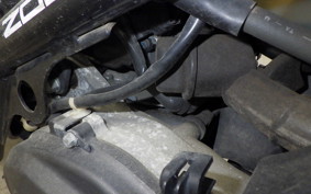 HONDA ZOOMER 2025 AF58