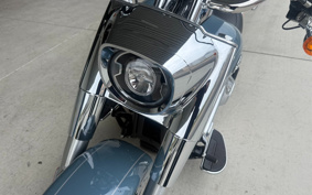 HARLEY FLFBS 2025 YGK