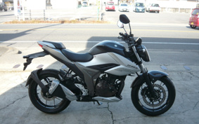 SUZUKI JIKUSA-250 ED22B