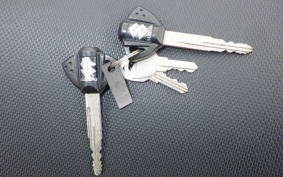 SUZUKI Vｽﾄﾛｰﾑ250A