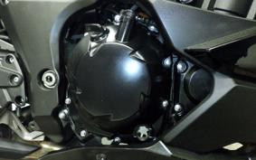 KAWASAKI NINJA 1000SX 2021 ZXT02K