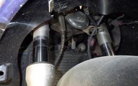 KAWASAKI ZZ-R250 EX250H