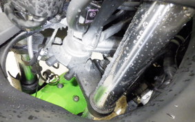 KAWASAKI NINJA 250 ABS EX250L