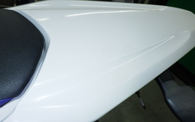 YAMAHA WR250X DG15J