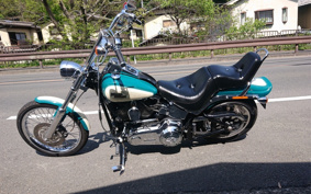 HARLEY HARLEY FXSTC1340 2017 JL5