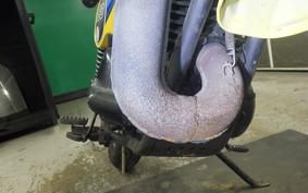 SUZUKI TS250 2024 TS2504
