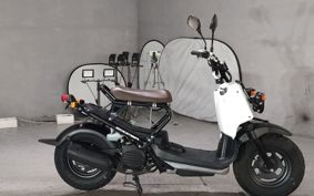 HONDA ZUMAR AF58