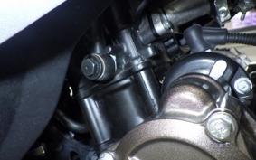 SUZUKI ｼﾞｸｻｰ250SF 2025 ED22B